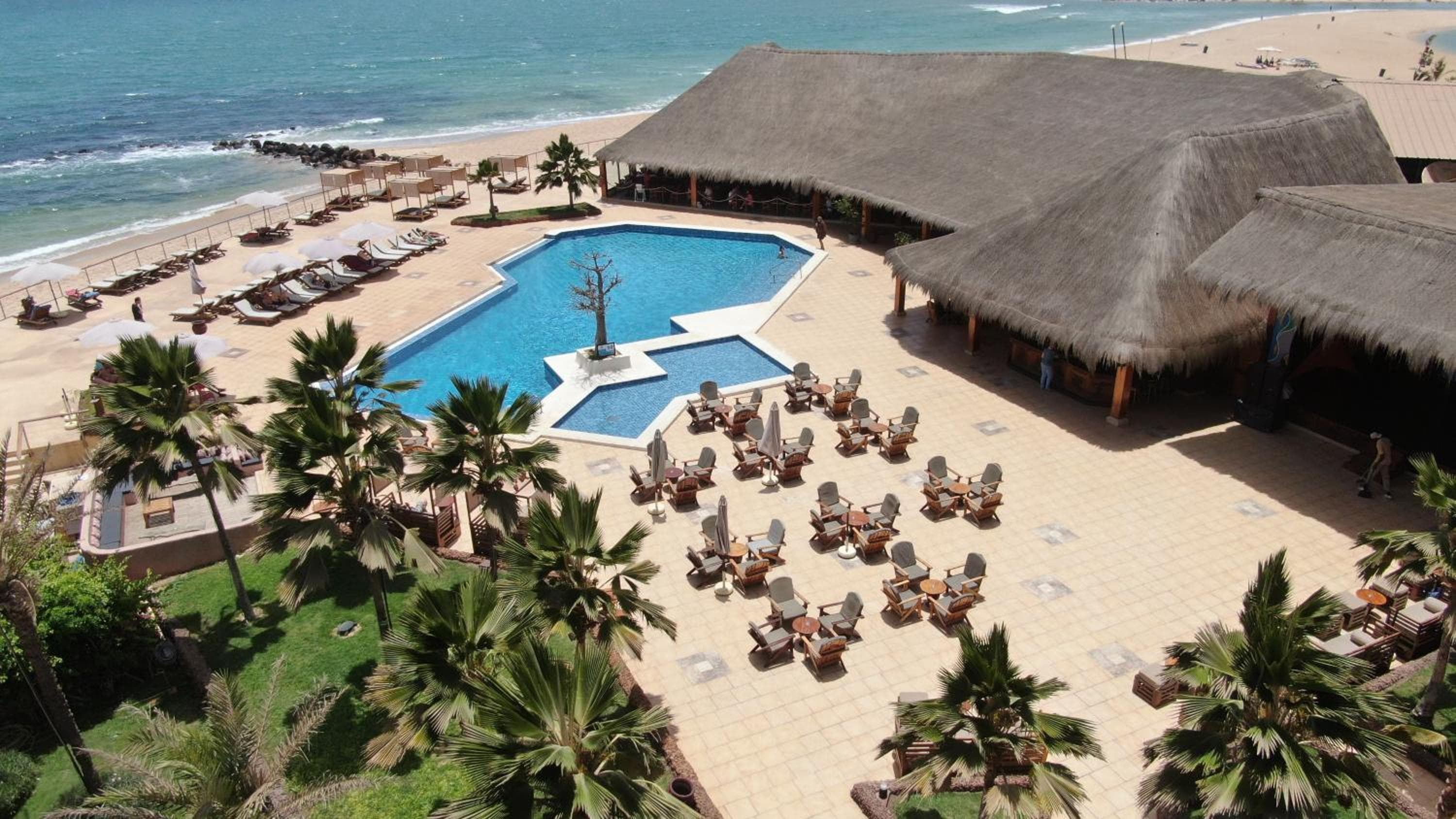 Royal Horizon Baobab